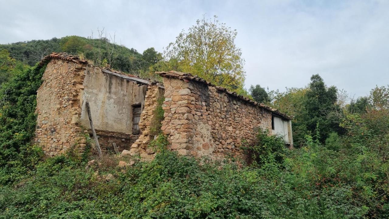 Ca La Pauleta Villa Sant Hilari Sacalm Eksteriør bilde