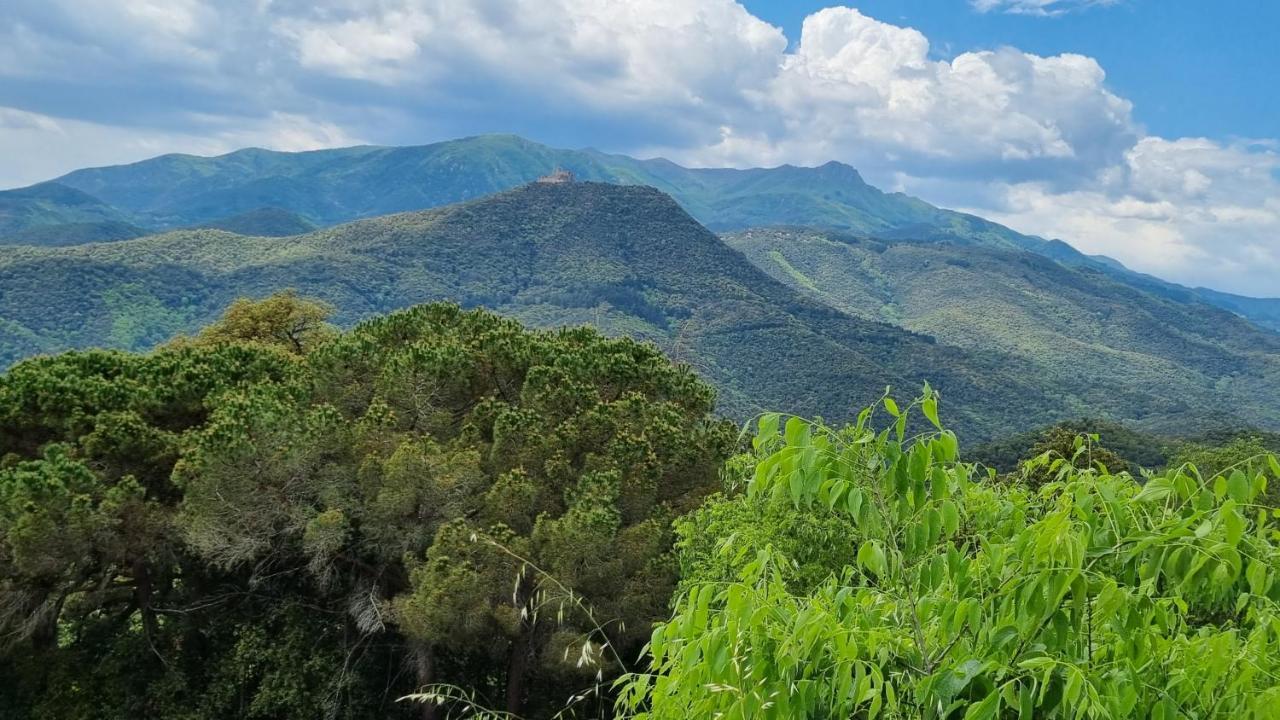 Ca La Pauleta Villa Sant Hilari Sacalm Eksteriør bilde