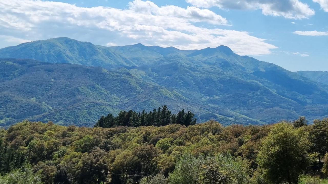 Ca La Pauleta Villa Sant Hilari Sacalm Eksteriør bilde