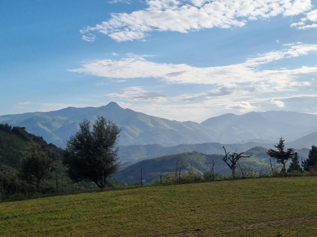 Ca La Pauleta Villa Sant Hilari Sacalm Eksteriør bilde