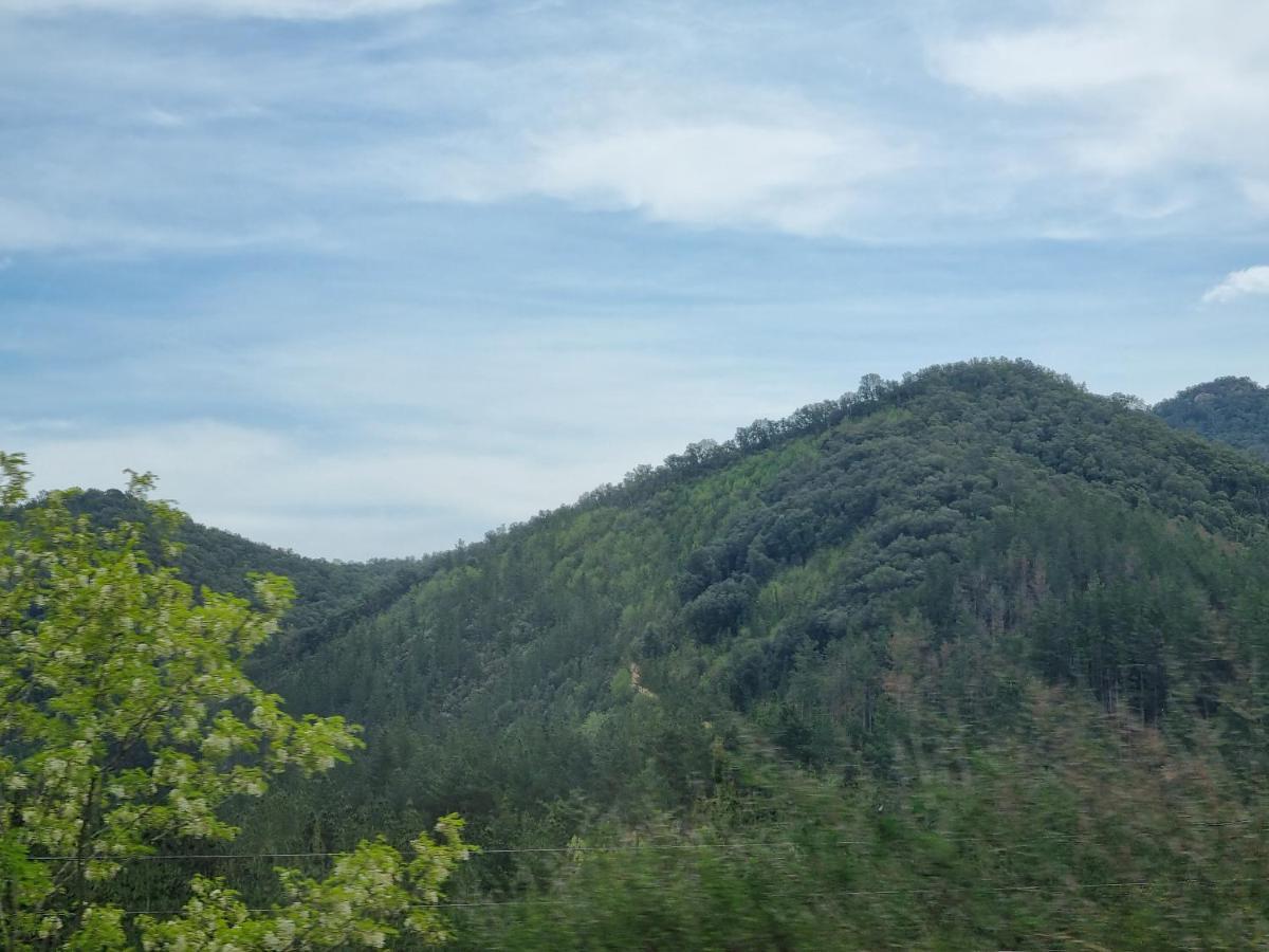 Ca La Pauleta Villa Sant Hilari Sacalm Eksteriør bilde